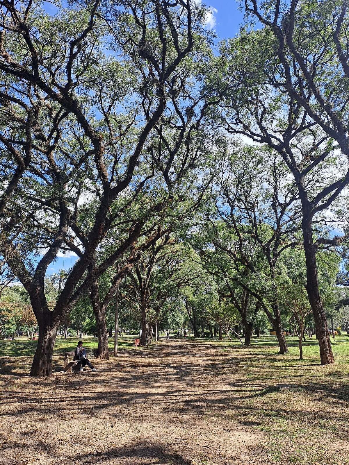 Panorámica de San Salvador de Jujuy, puerta de entrada al noroeste argentino