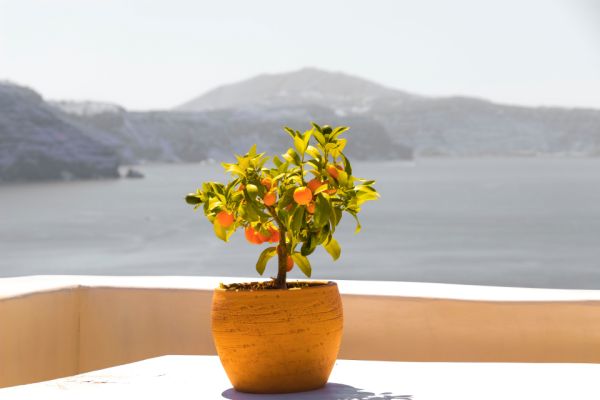 Excursiones de un día en Paros: la caldera de Santorini es uno de los destinos favoritos.