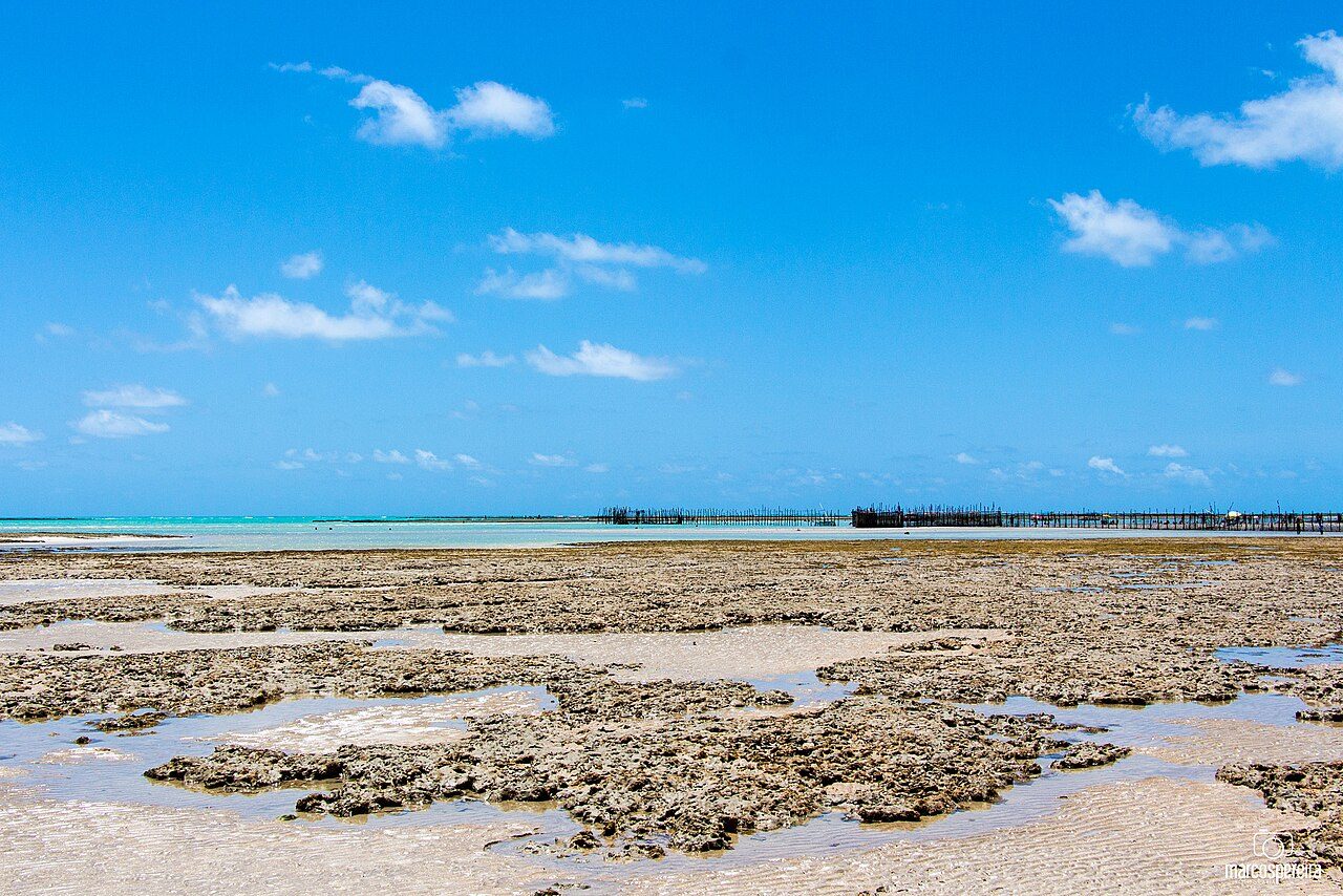 El litoral tranquilo de San Miguel dos Milagres, una escapada cerca de Maceió
