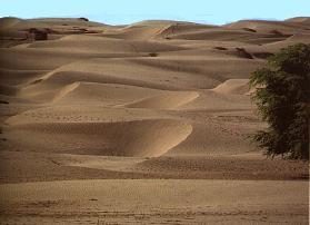Las dunas del desierto de Sechura, uno de los grandes atractivos de qué ver en Piura