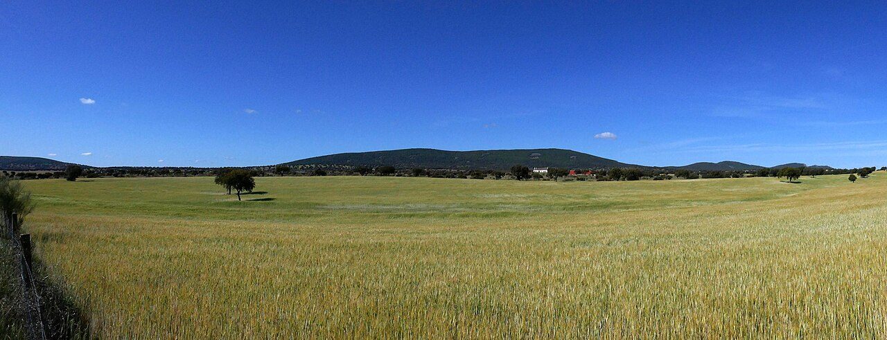 El entorno de olivar y sierra invita a completar la visita a Montoro con excursiones cercanas