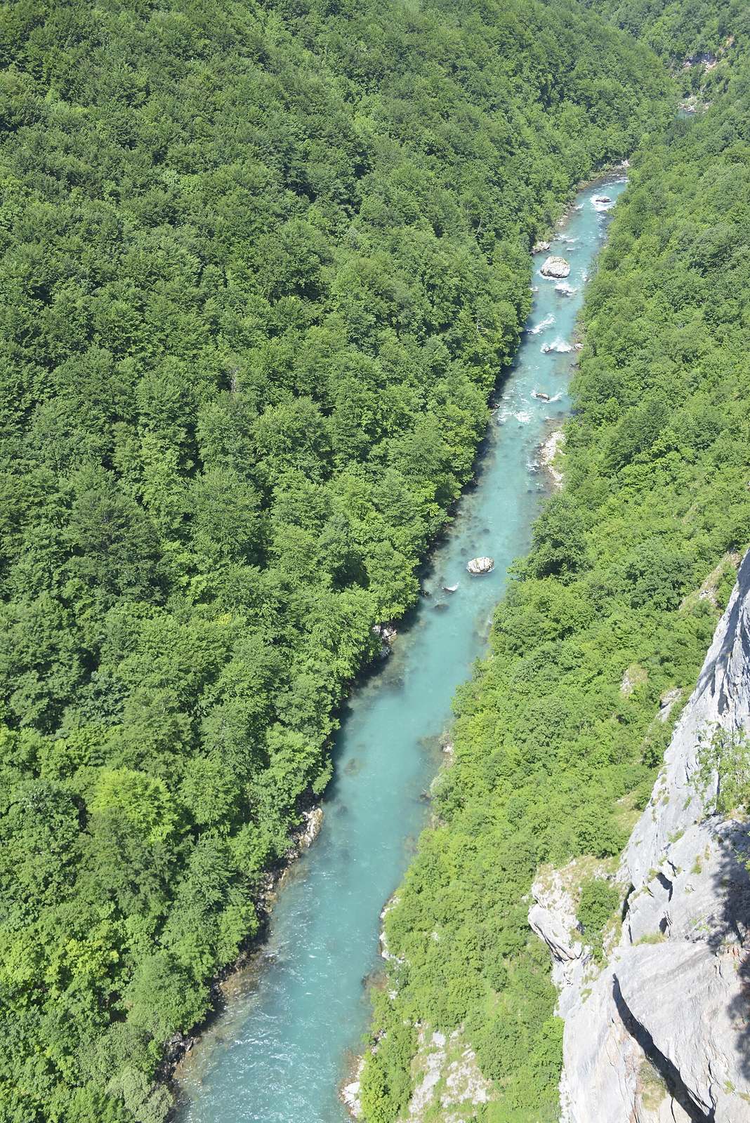 El puente Durdevica Tara sobre el cañón, imprescindible que ver en Durdevica Tara
