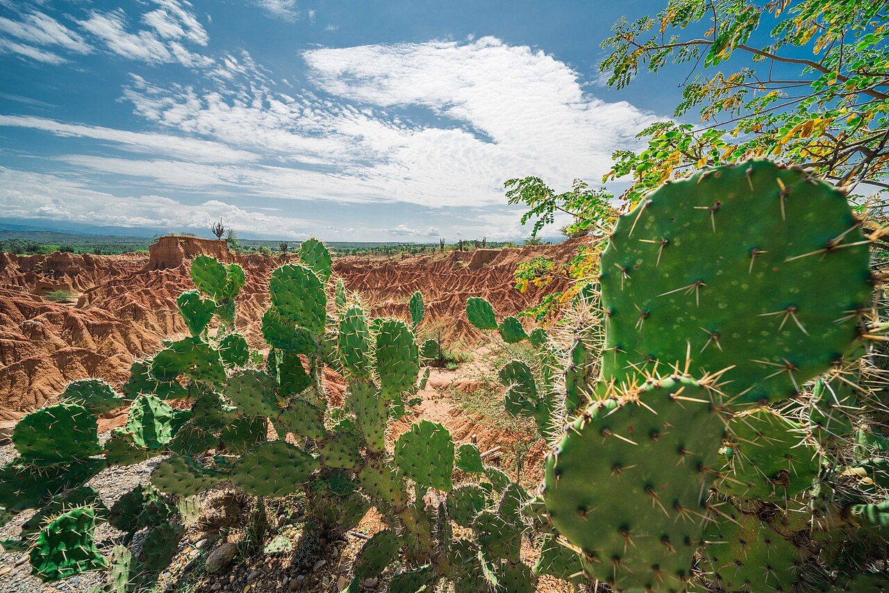El desierto Rojo de la Tatacoa, lo más espectacular que ver cerca de Neiva