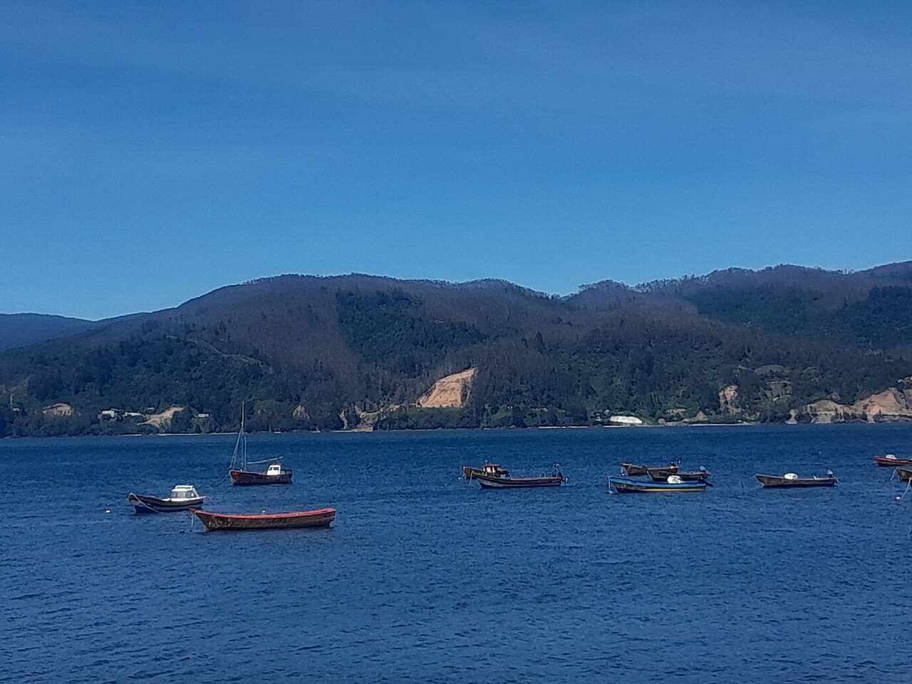 Qué ver en Valdivia: sus ríos y la Costanera definen el carácter de la ciudad
