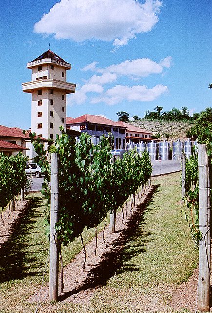 El Vale dos Vinhedos, la ruta del vino imprescindible cerca de Gramado