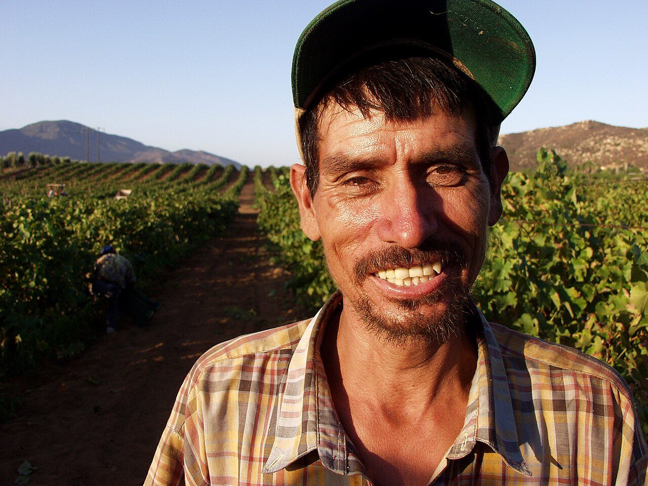 Los viñedos del Valle de Guadalupe, imprescindibles en cualquier visita a Ensenada