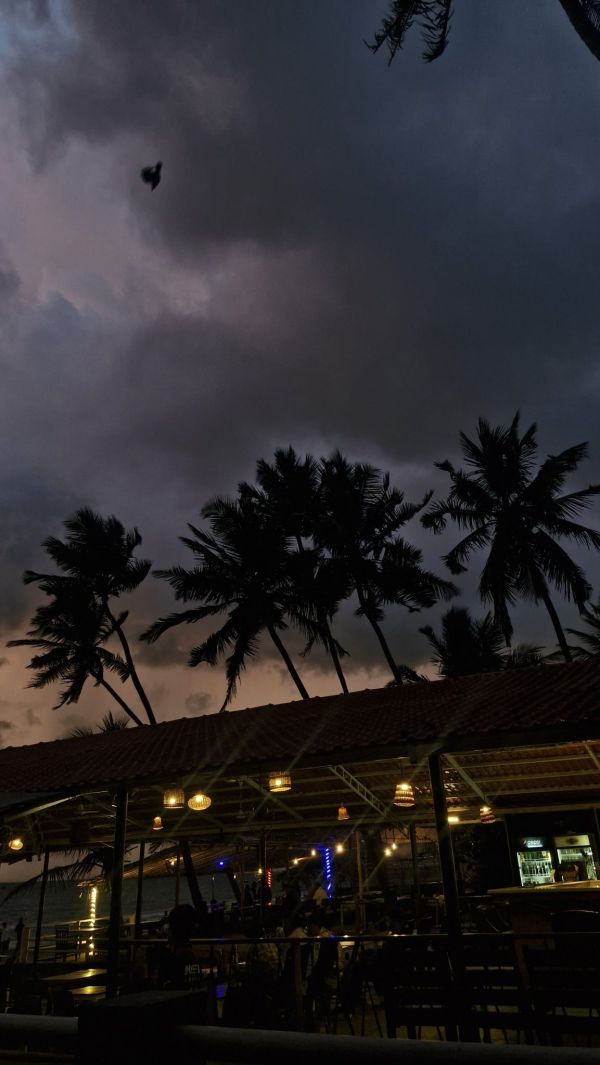 Cenar frente al mar, uno de los placeres de qué hacer en Dhiffushi al atardecer