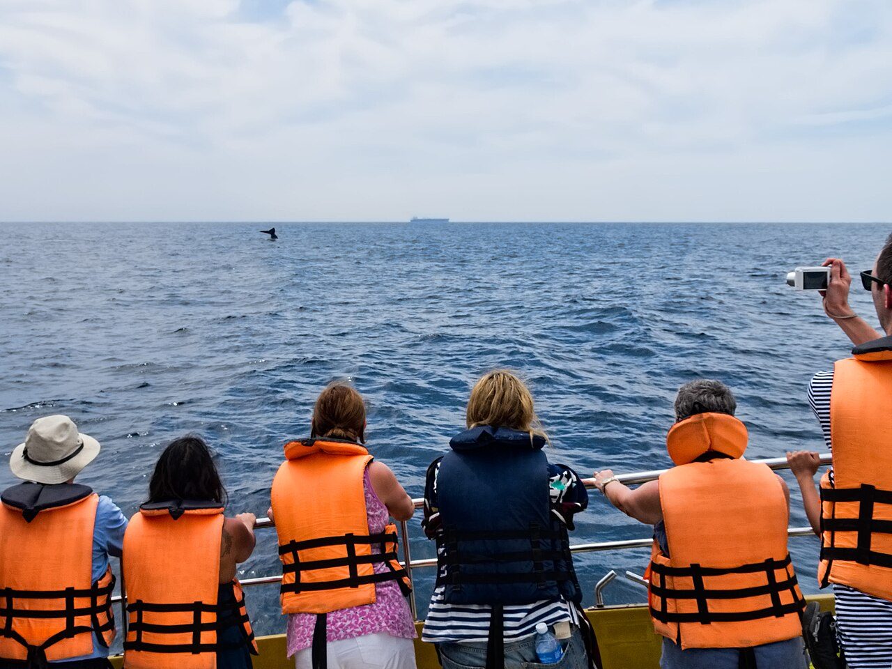 El avistamiento de ballenas es lo más especial que hacer en Mirissa