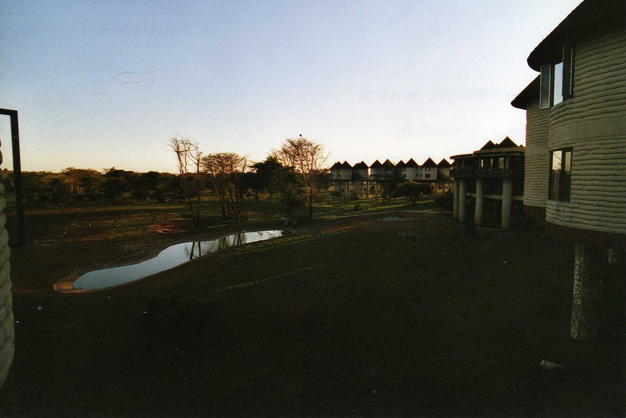 Elefantes en Tsavo, uno de los grandes atractivos de la naturaleza y aventura en Mombasa