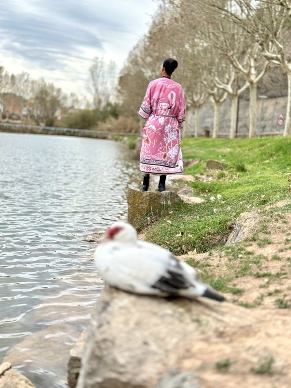 Flamencos y aves en libertad, uno de los grandes atractivos que ver en Río Lagartos