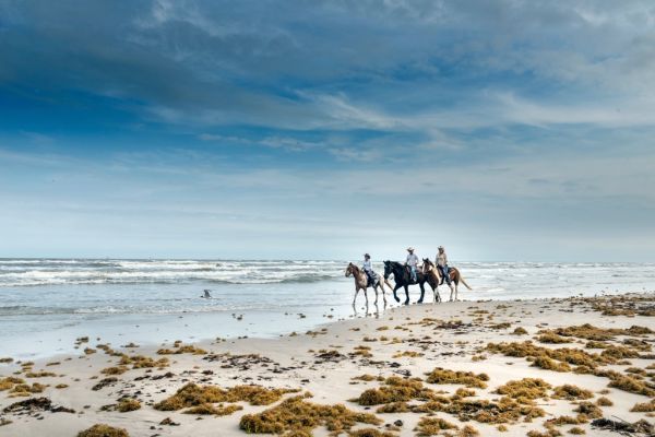Paseo a caballo al atardecer por Doñana, la experiencia estrella de qué ver en Mazagón
