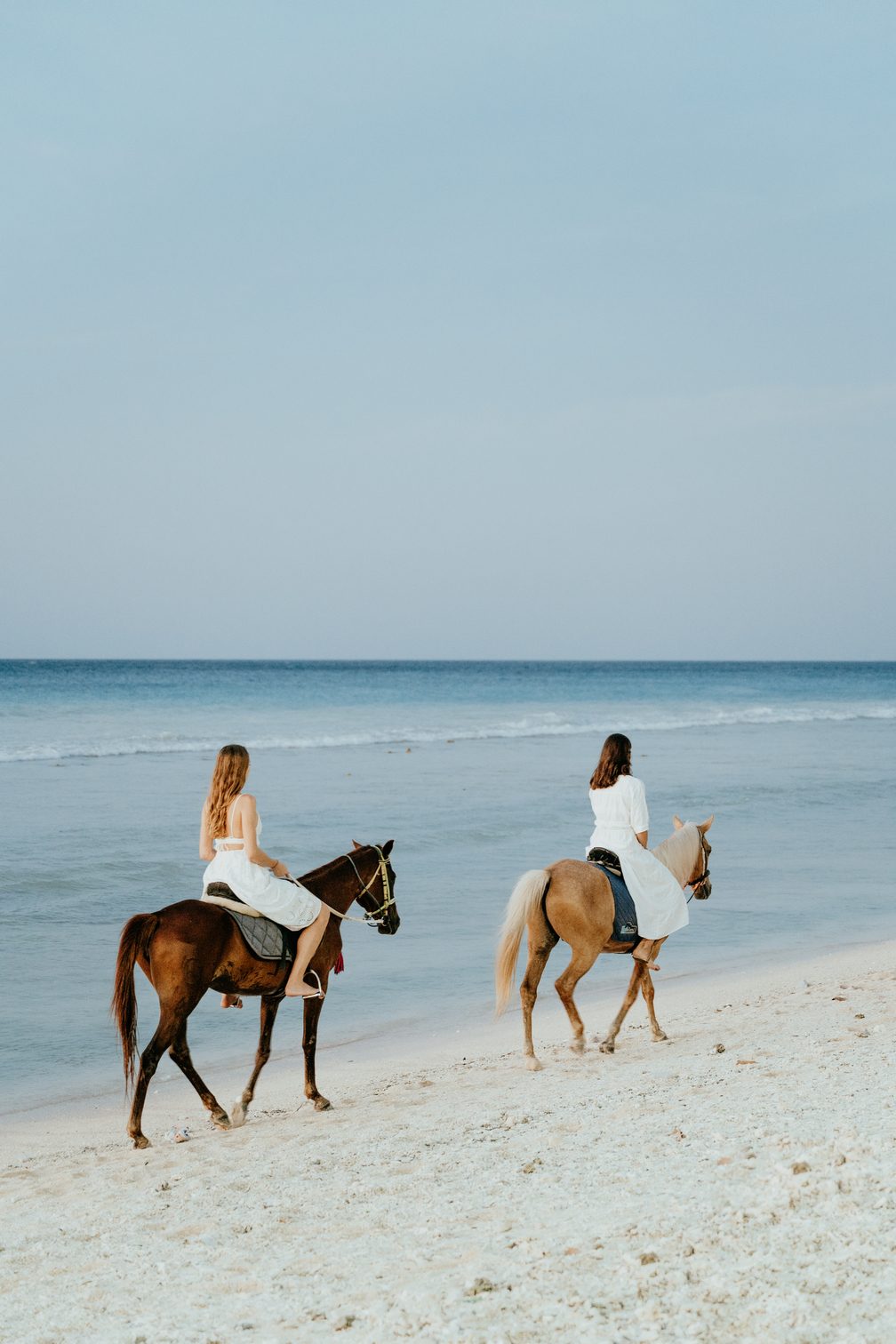 Paseo a caballo por la selva del Parque Diamante Eco cerca de Playa Matapalo