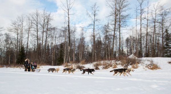 Paseo en trineo de huskies, una de las excursiones estrella que ver en Laponia