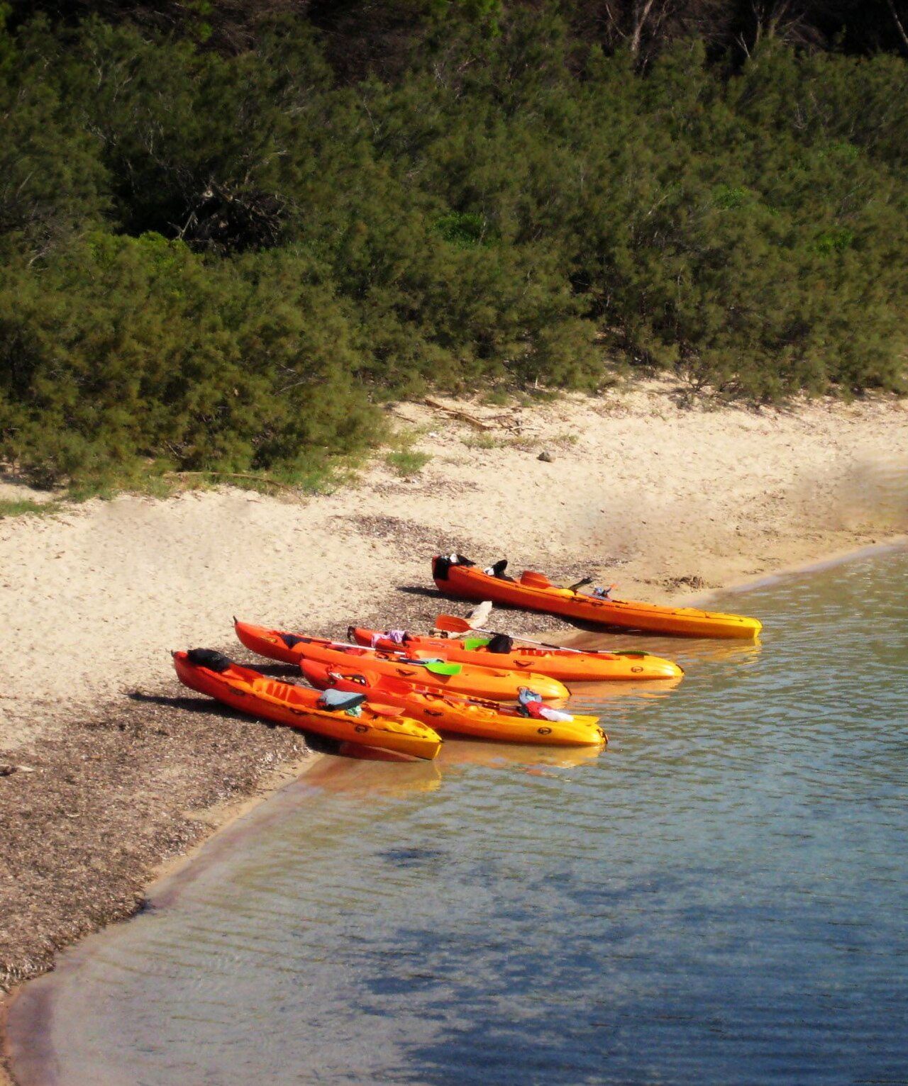 El kayak transparente, uno de los planes más divertidos que hacer en Puerto de Addaya