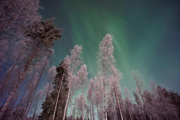 Auroras boreales sobre la Laponia finlandesa, el gran atractivo de qué ver en Kittilä