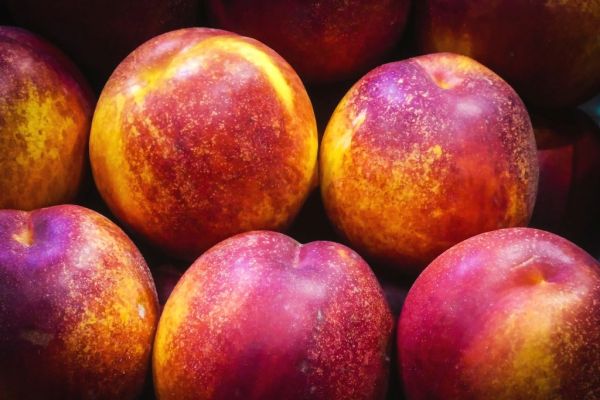 El melocotón, emblema culinario y otra razón para descubrir qué ver en Cieza