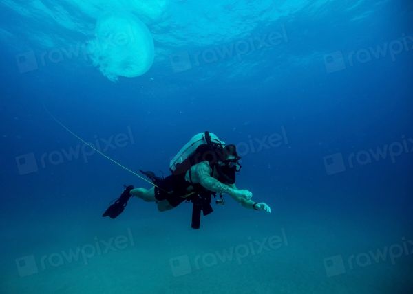 El buceo en la reserva marina, uno de los grandes reclamos de Cabo de Palos