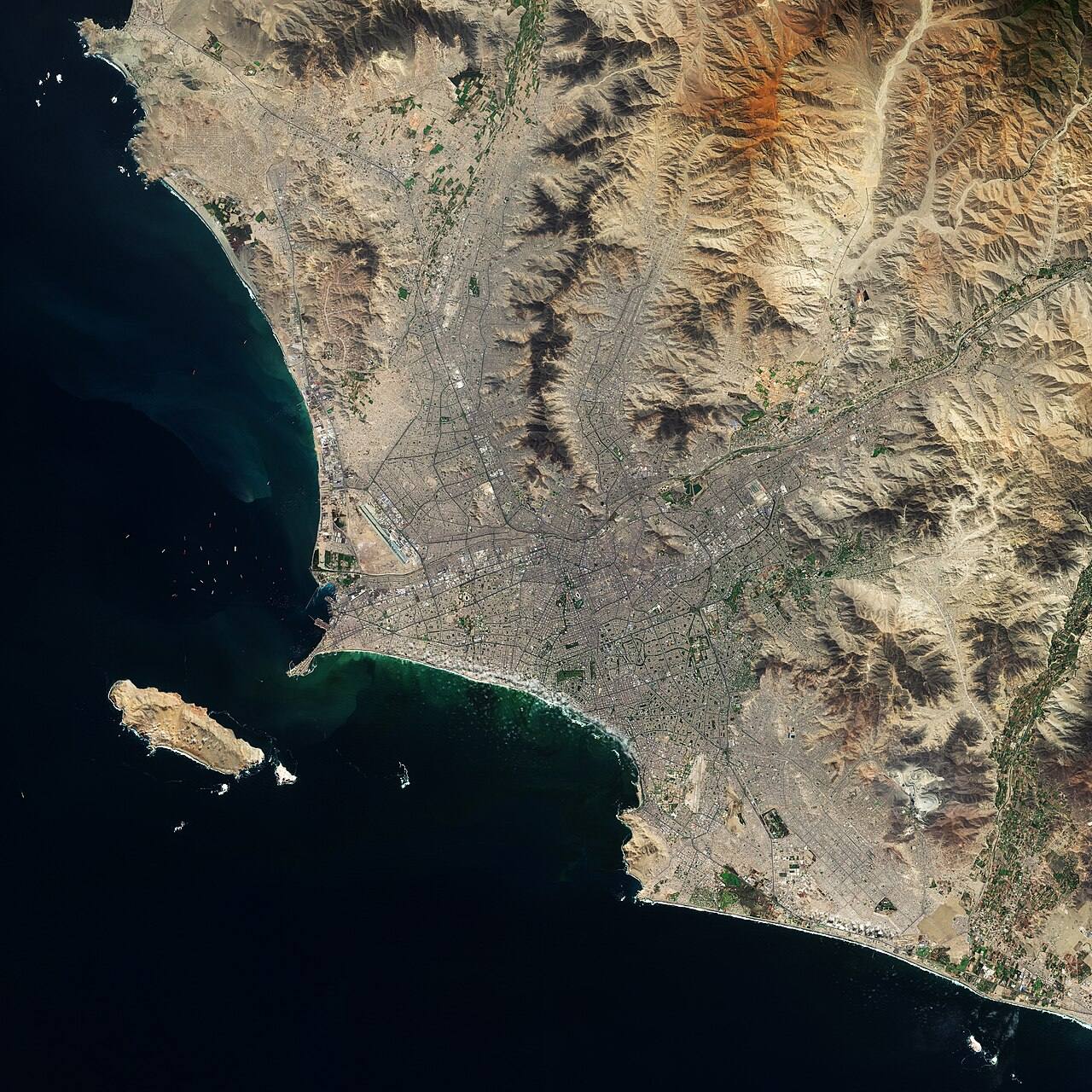 Cruceros y barcos en Callao: encuentro con lobos marinos en las Islas Palomino