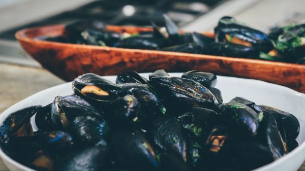 Marisco fresco, la mejor excusa para comer en Punta Umbría