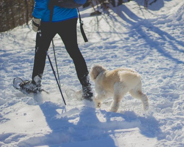 Raquetas de nieve, uno de los planes imprescindibles de qué ver en Navacerrada en invierno