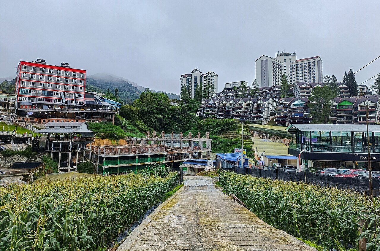 Granja de fresas cerca de Brinchang, un plan familiar en Cameron Highlands