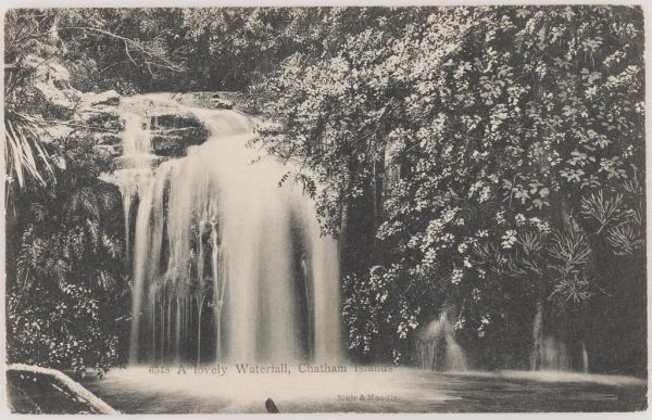 Excursiones de un día en Tingo María entre cataratas y selva alta