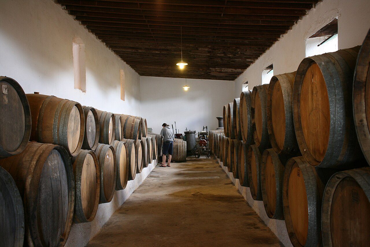 El museo del vino Pagos del Rey, imprescindible entre lo que ver en Morales de Toro