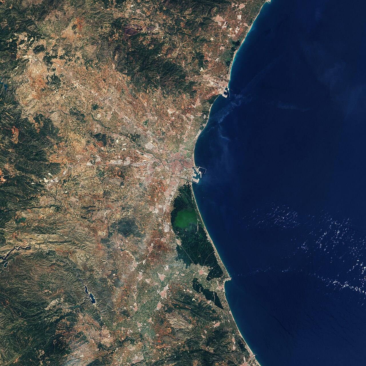La biodiversidad del Parque Natural de la Albufera junto a El Palmar