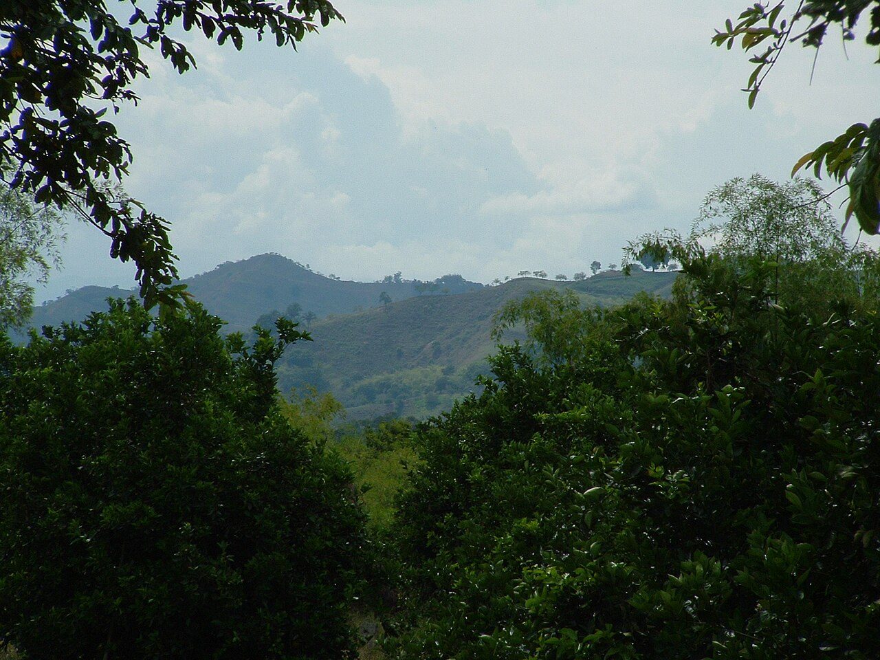 Paisaje del Eje Cafetero cerca de Armenia, Colombia