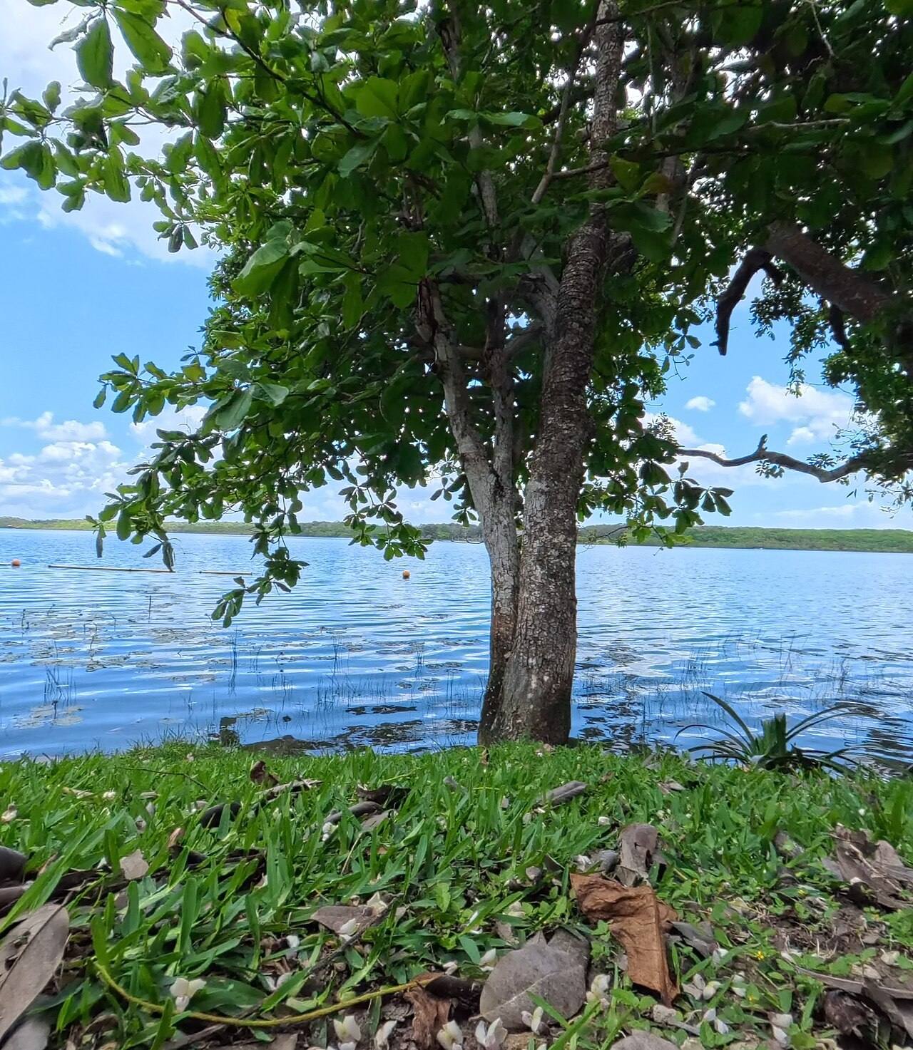 Excursiones de un día en Bacalar: la Laguna de los Siete Colores desde el agua.