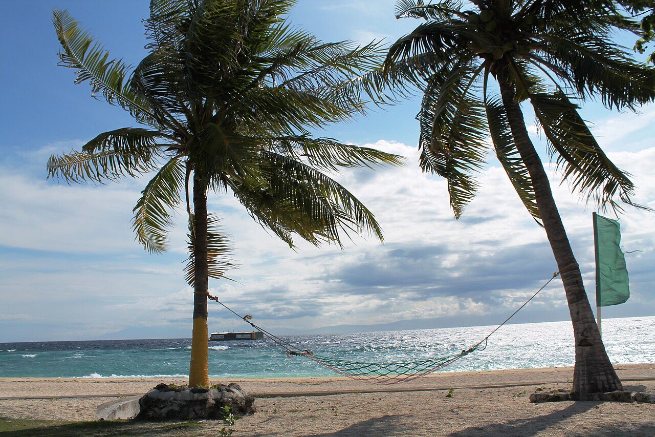 Snorkel en Balicasag, una de las excursiones de un día en Bohol más populares