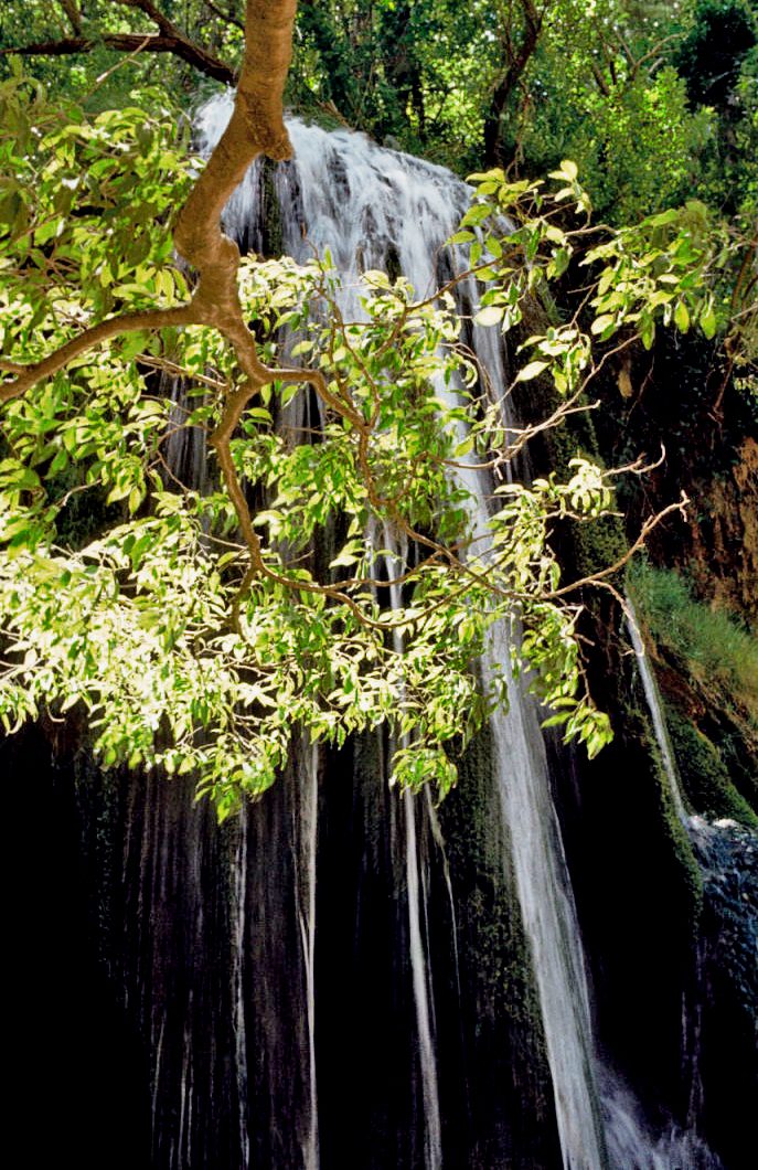 Cascadas del Monasterio de Piedra, la excursión estrella cerca de Zaragoza