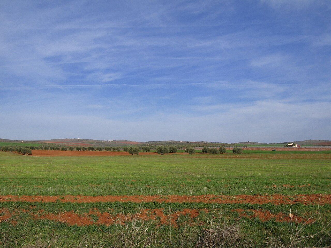 Los paisajes del Campo de Montiel, alrededores de Villanueva de los Infantes