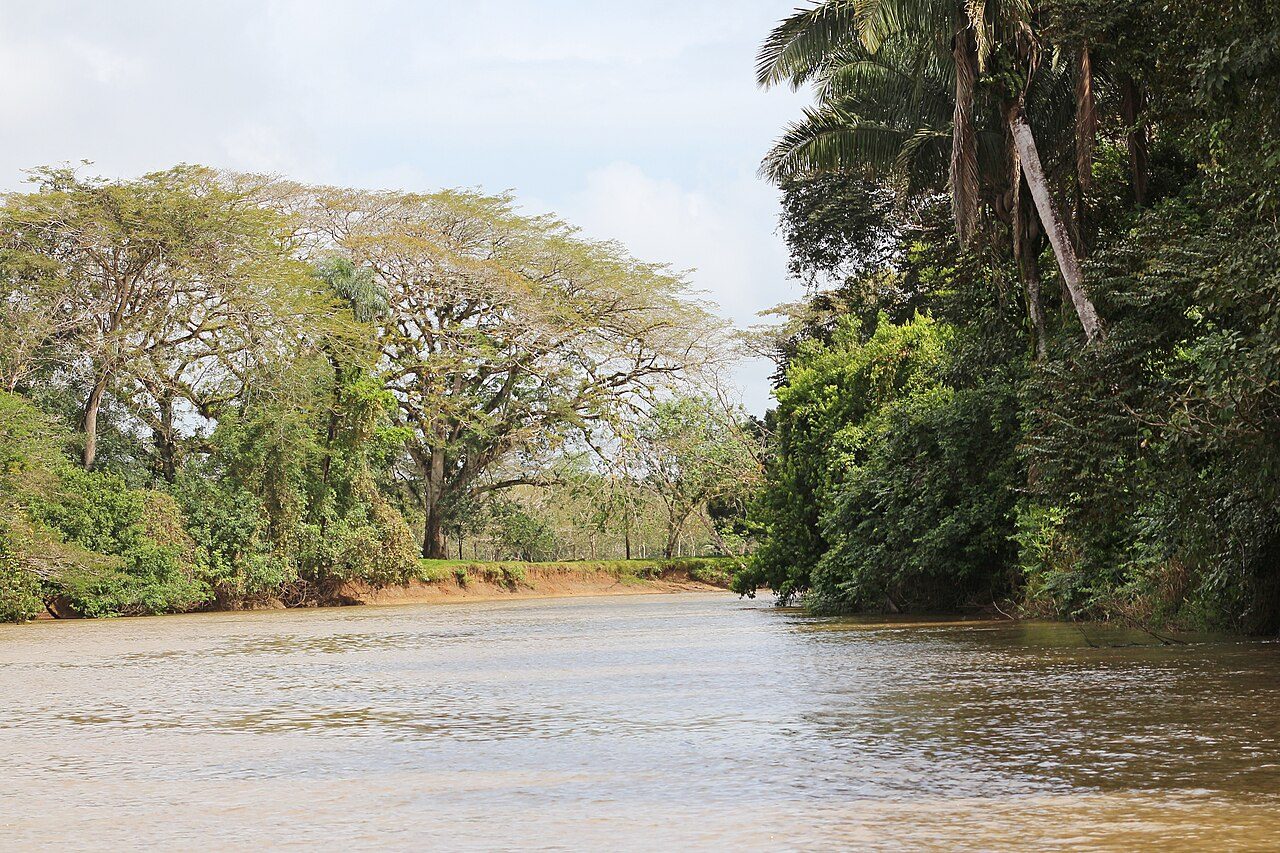 Caño Frío, un baño gratuito y refrescante entre manglares, imprescindible que ver en Las Galeras