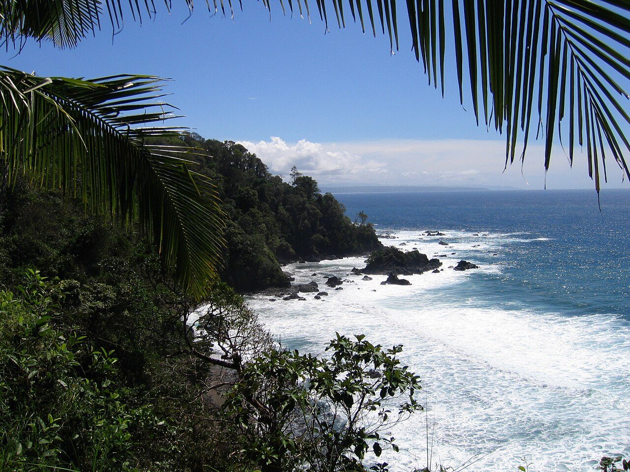 Naturaleza y aventura en Bahía Drake: snorkel en los arrecifes de la isla del Caño