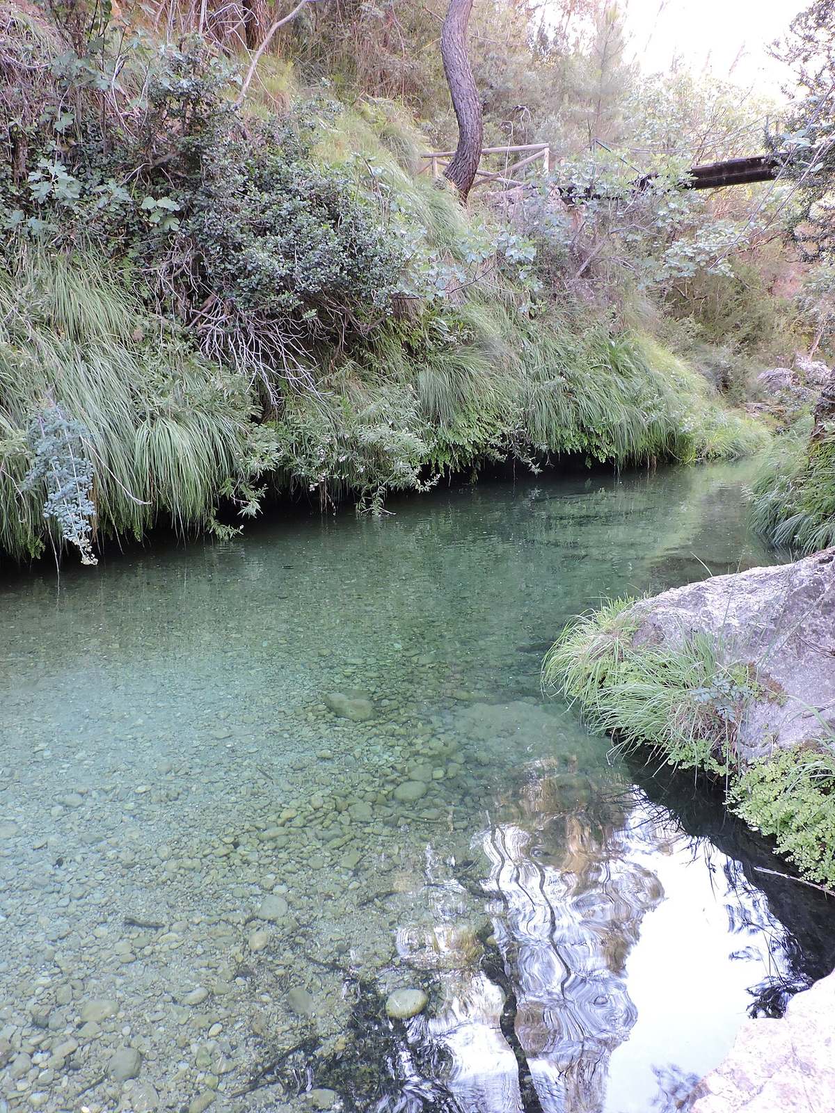 El sendero de la Cerrada de Elías, una de las rutas imprescindibles que ver en Cazorla.