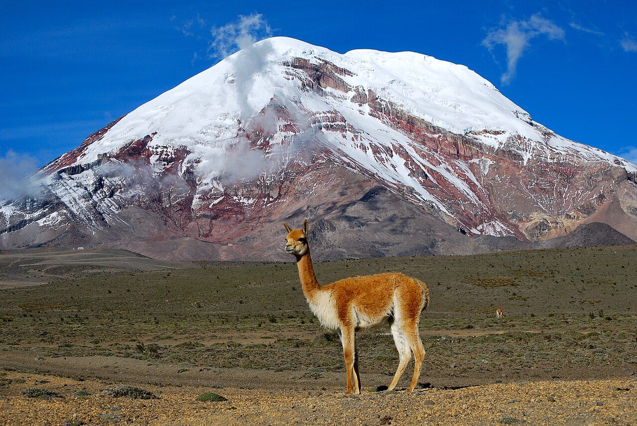 El volcán Chimborazo, principal reclamo de qué ver en Riobamba