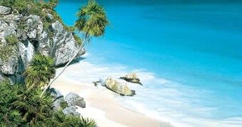 Playas turquesa de la Riviera Maya, uno de los grandes reclamos para saber qué ver en la zona