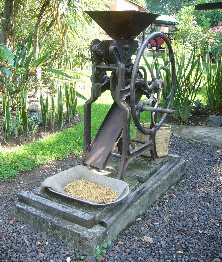 Coatepec y su tradición cafetera, una de las mejores excursiones desde Veracruz