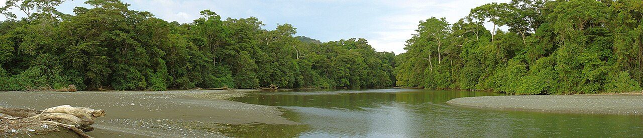 Excursiones de un día en Bahía Drake hacia la selva del Parque Nacional Corcovado.