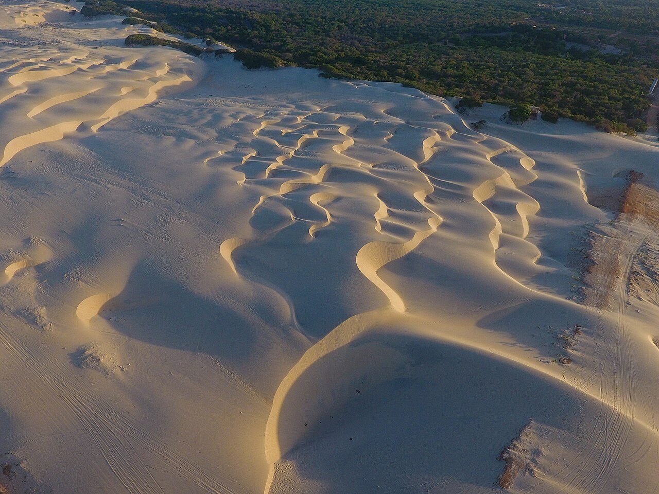 Qué ver en Diani: sus playas de arena blanca y aguas turquesas del Índico