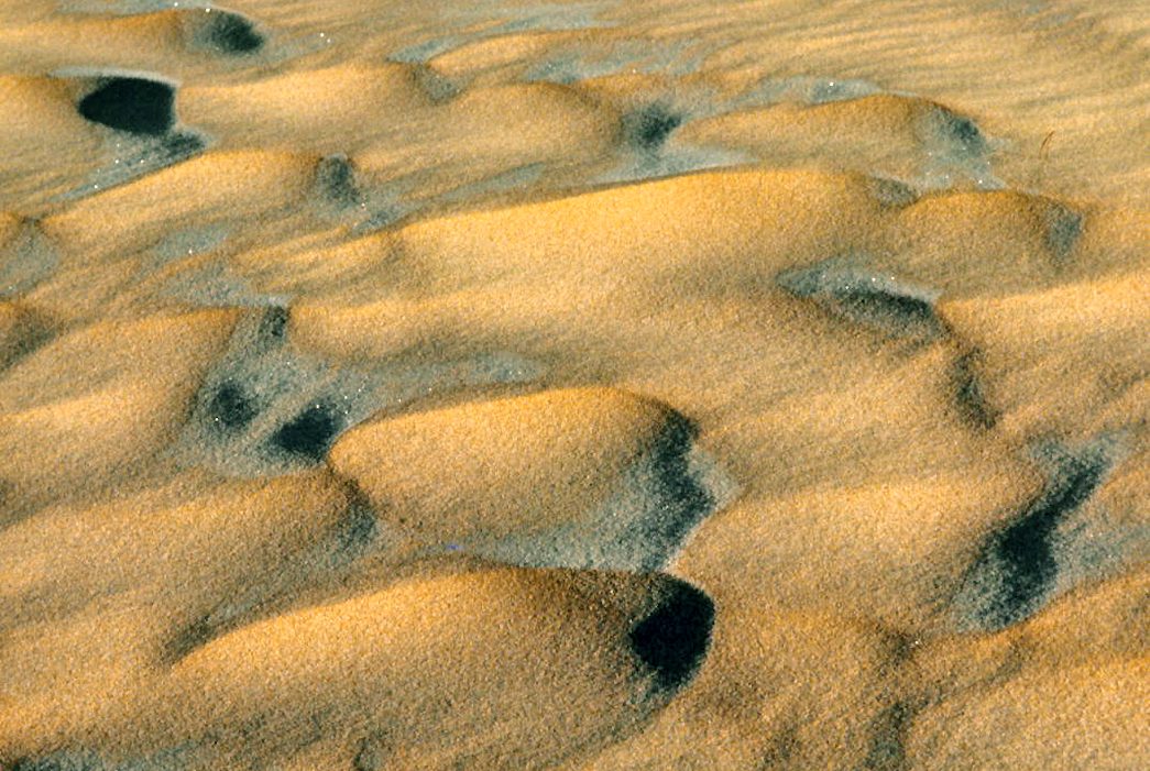 Dunas móviles de Doñana, un paisaje único que ver en Almonte