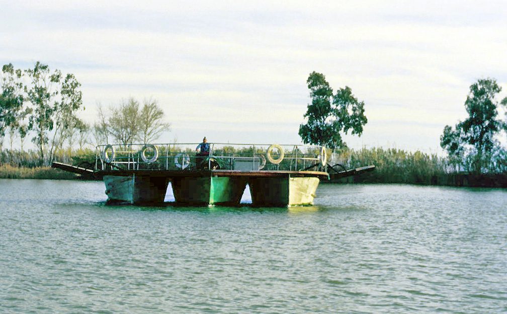 Paseo en barco por el Delta del Ebro desde Deltebre, entre arrozales y aves acuáticas