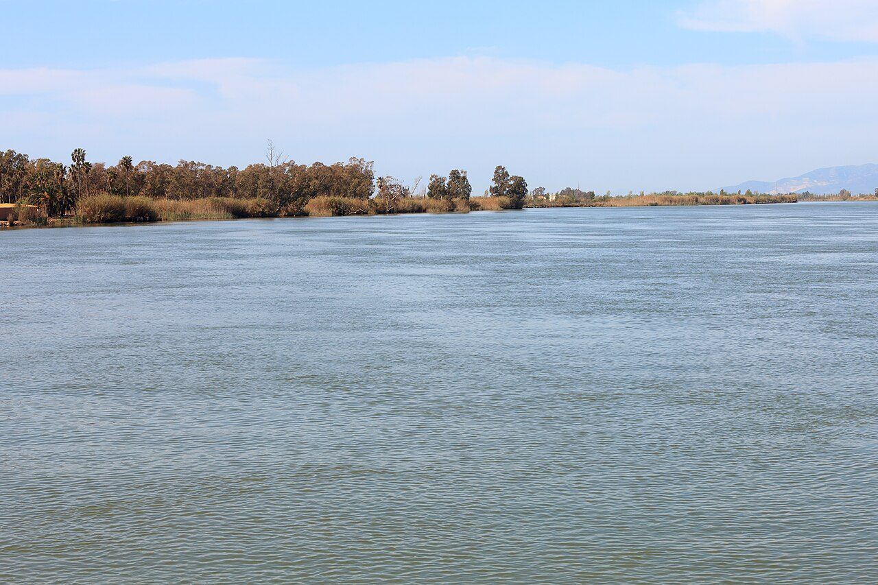 Aves y lagunas del Delta del Ebro cerca de Poblenou del Delta