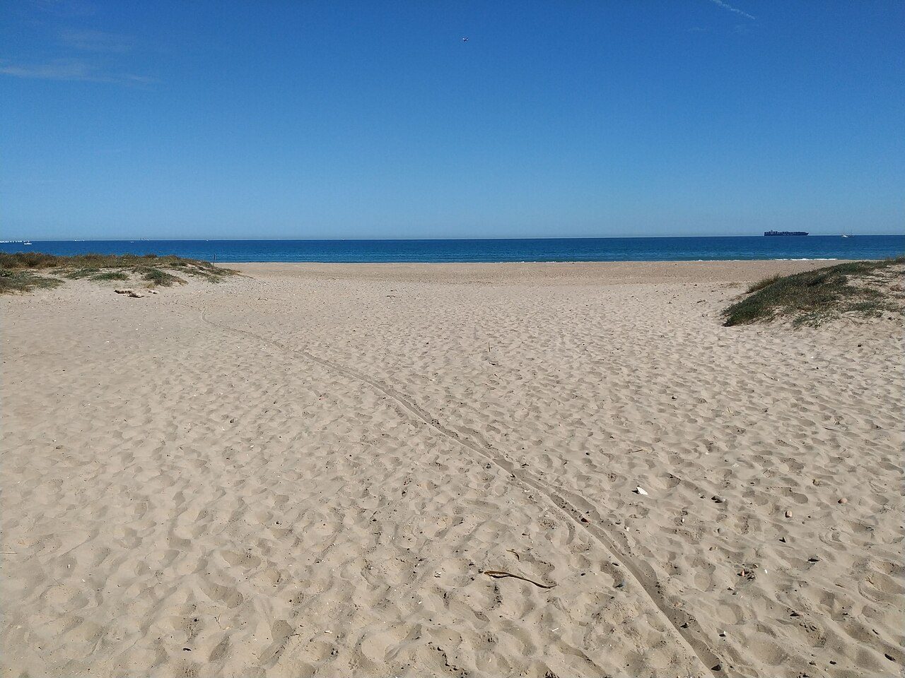 La playa y las dunas de El Saler, una de las cosas imprescindibles que ver en El Saler