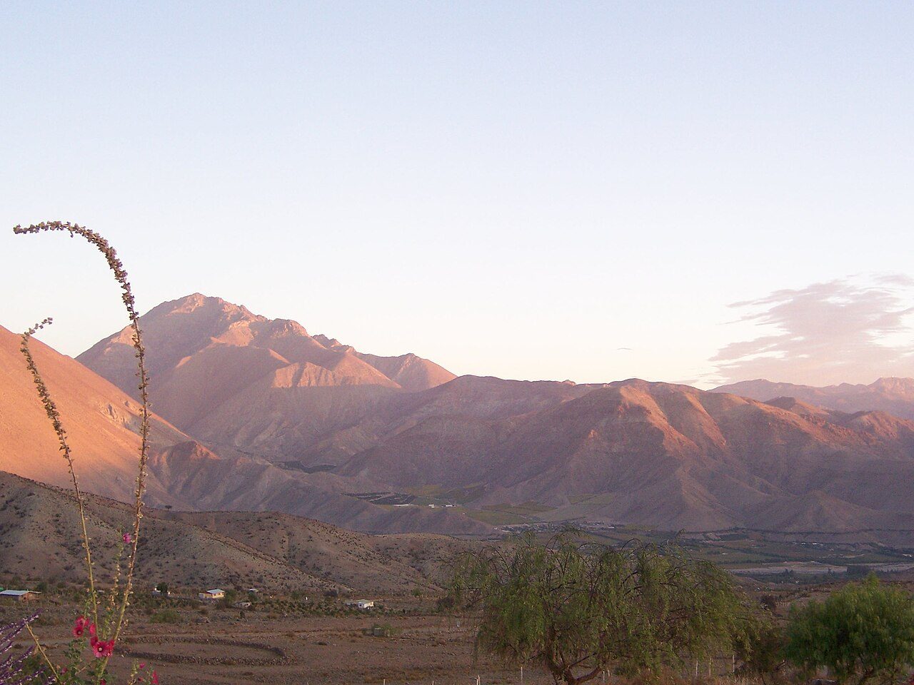 Tours y visitas guiadas en Pisco Elqui entre viñedos y montañas del Valle del Elqui