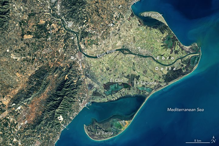 La laguna de l'Encanyissada, parada clave para saber qué ver en Poblenou del Delta