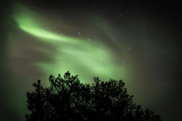 La aurora boreal, la gran razón para visitar Tromso en invierno