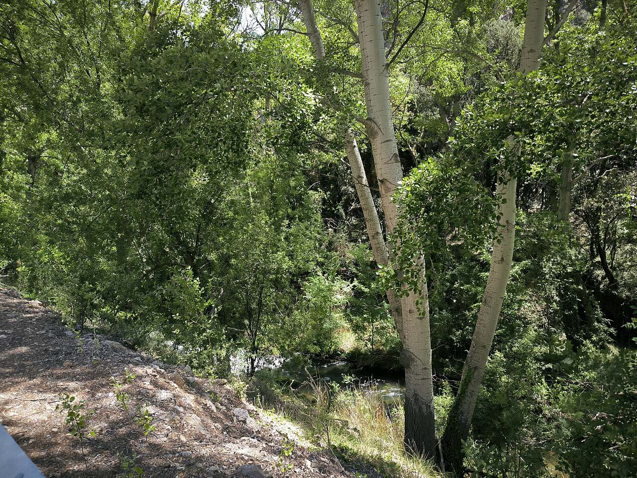 El paseo fluvial del Guadalaviar, un imprescindible que ver en Albarracín