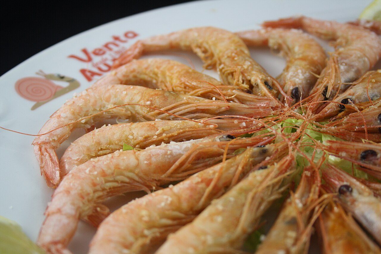 Las famosas gambas blancas, un imprescindible de dónde comer en Huelva